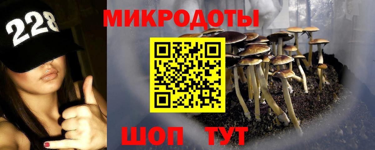 Крымск  Галлюциногенные грибы прущие грибы  Вход с VPN 